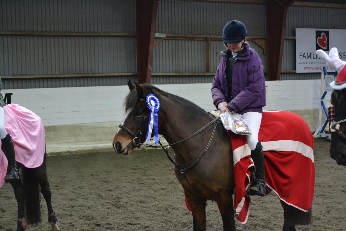 New Forest Roløkke Classic  - 2 plads på Kongelundes rideklub. LB :)  billede 23
