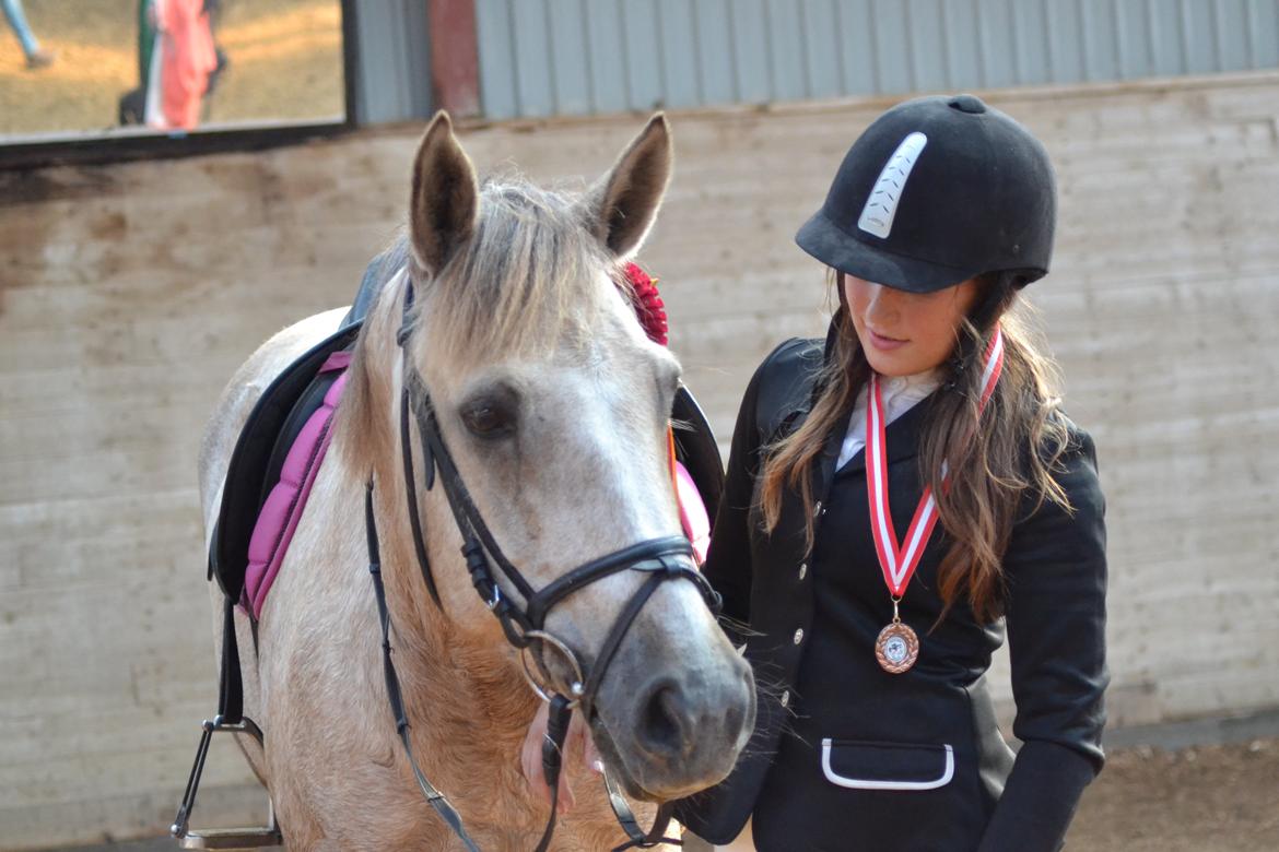 Connemara Moneyveen Smokie billede 7