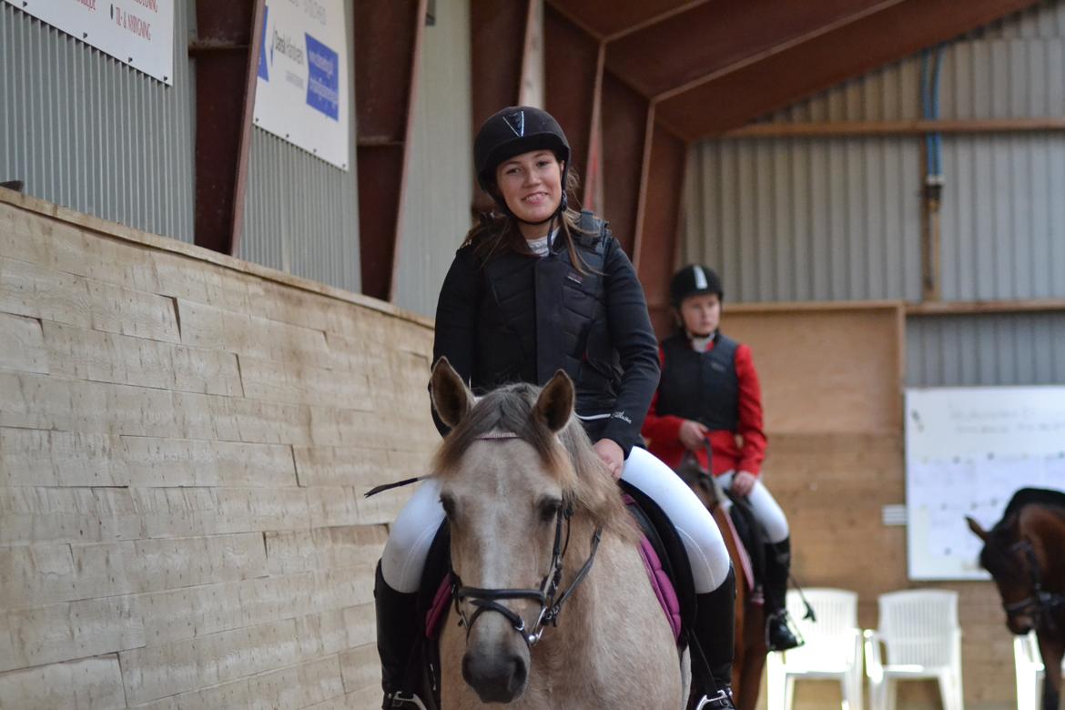 Connemara Moneyveen Smokie billede 8