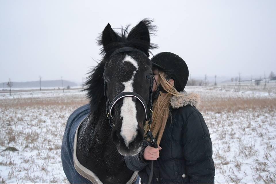 Tysk Sportspony Akrobatin S billede 30