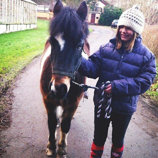 Anden særlig race Django - Her ses Django med sin nye ejer Nanna, lige inden han gik igennem dyrelægetjekket. Han har det som blommen i et æg, og er sikker på min Djangse vil gøre Nanna lige så glad som han har gjort mig! billede 36