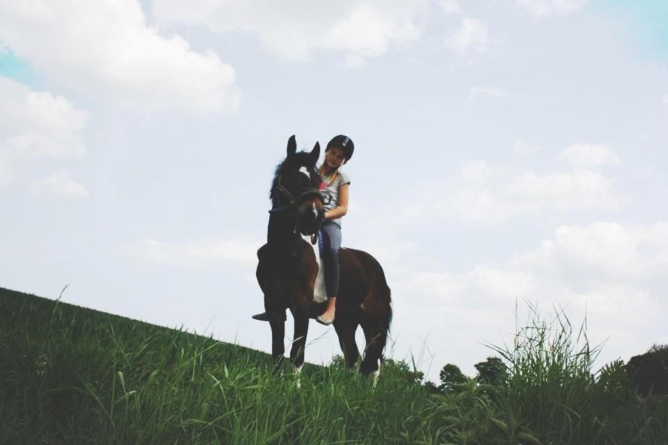 Anden særlig race Django - min bedste ven til dato (!!!) billede 34