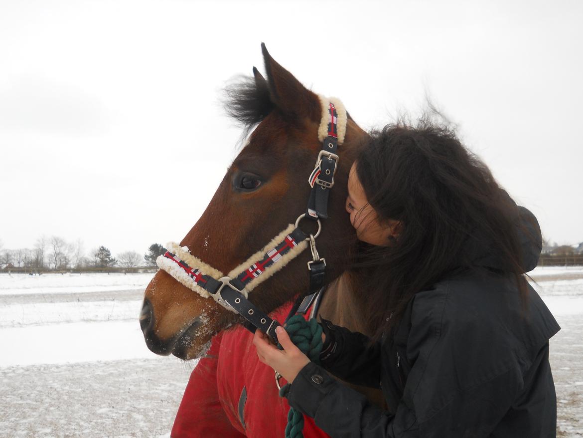 New Forest Egeballes Totilas [Tidl. hest] - Life isn't about finding someone you can live with, but finding someone you can't live without. billede 14