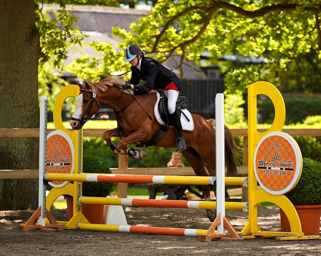 Hollandsk Sportspony Lac Lemon Lakriz - Mig og Lakriz til stævne på Egene billede 1