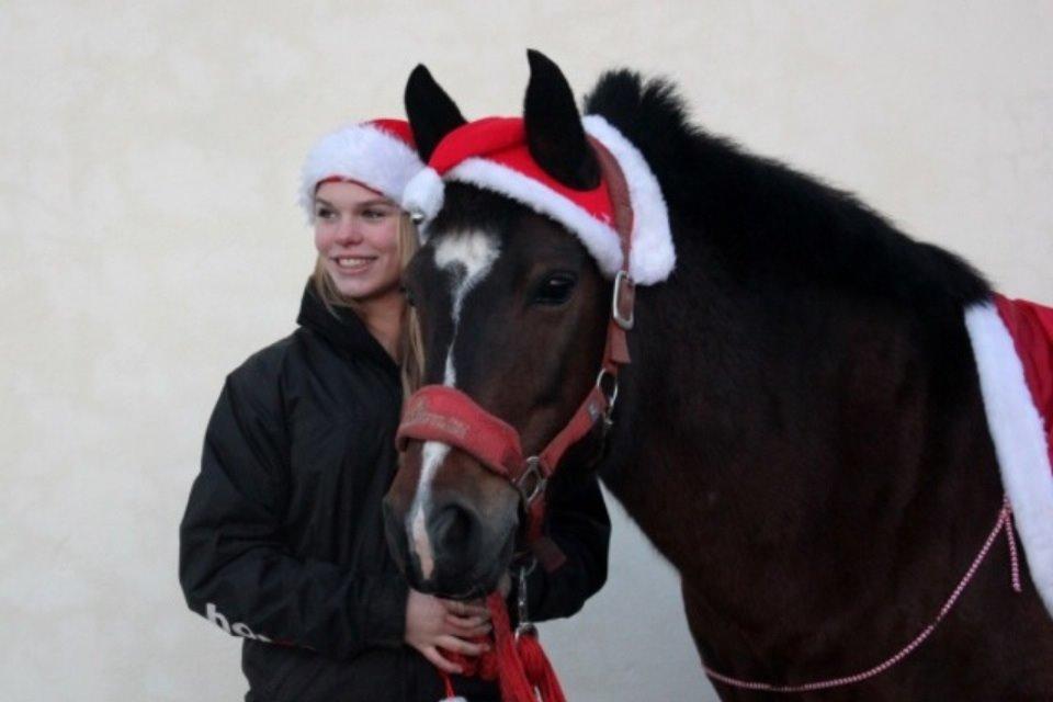 New Forest Elmholts Elina billede 19