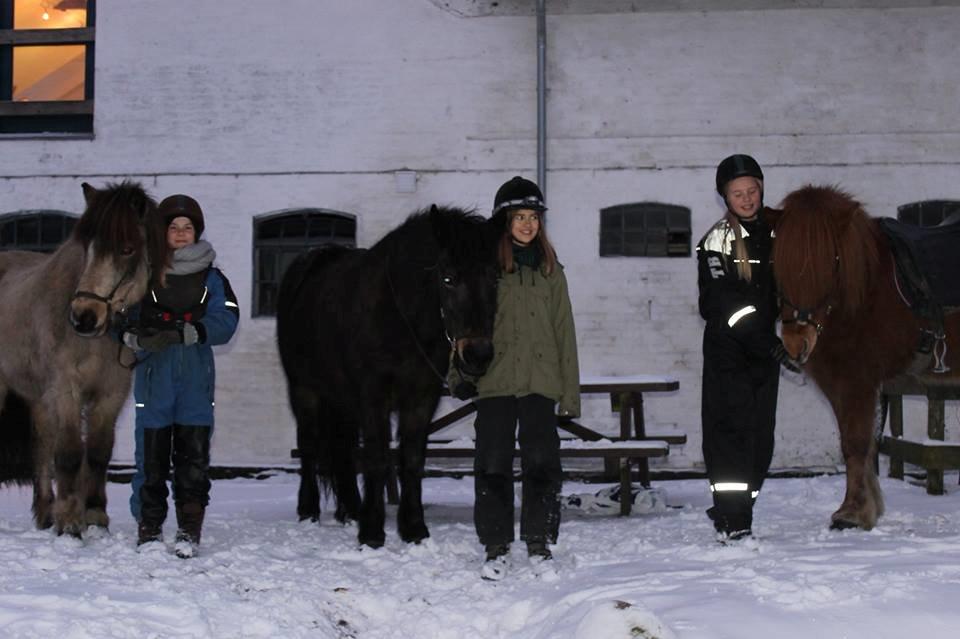 Islænder Blettur fra Tjenergården - På vej til hyggelig aftentur med sødeste Smilla, Sara, Kristine og Asta <3 billede 20