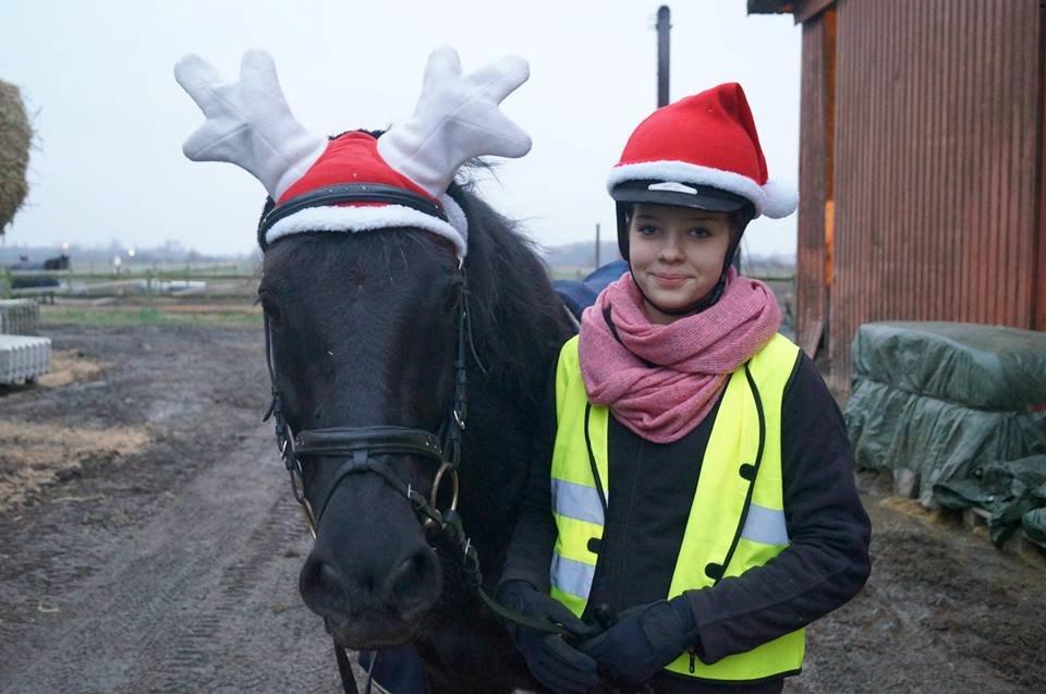 New Forest Loke - Et billede fra jul <3 billede 2
