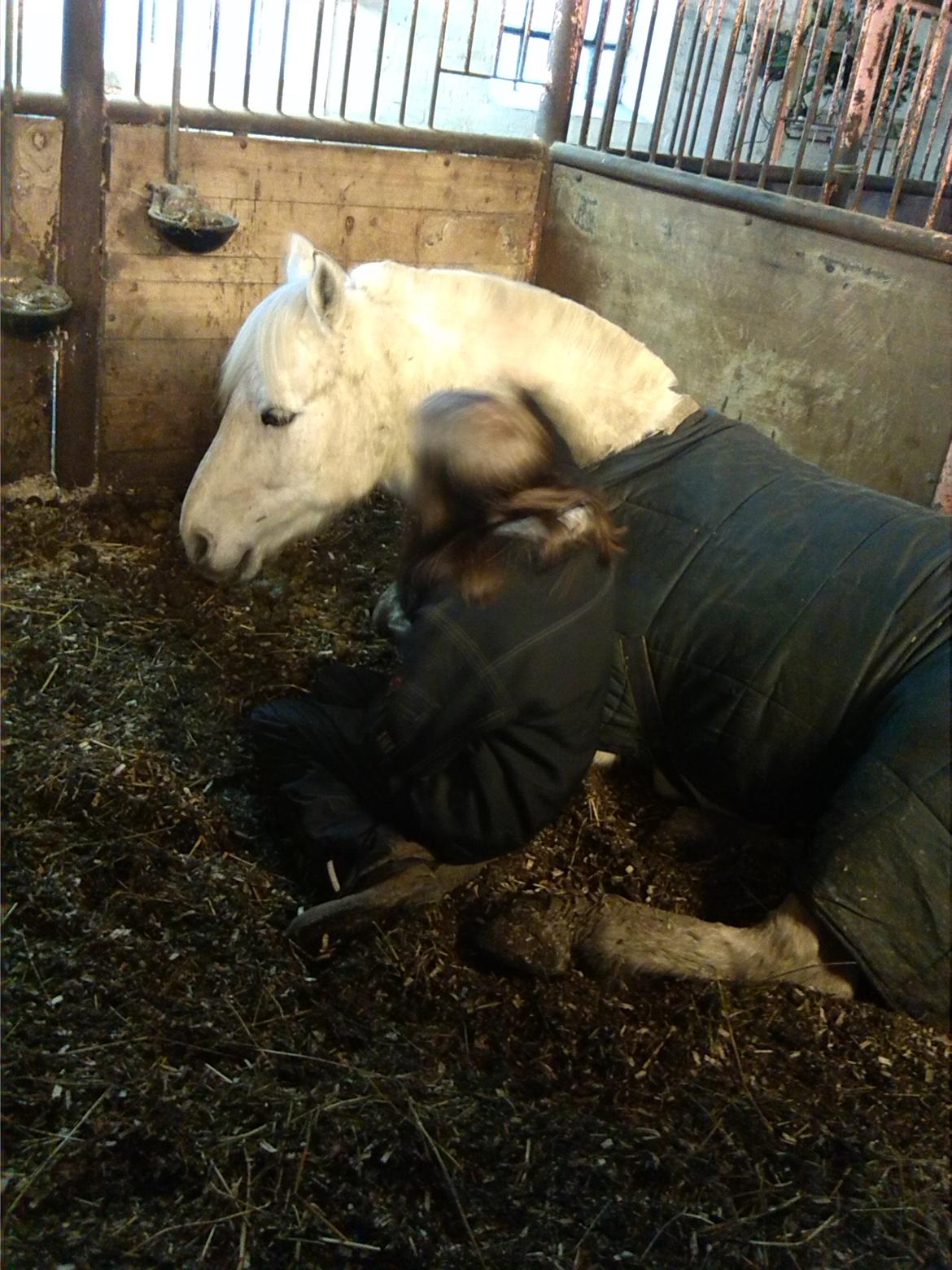 Anden særlig race luatello - hygge i boksen med mit alt <3 billede 15