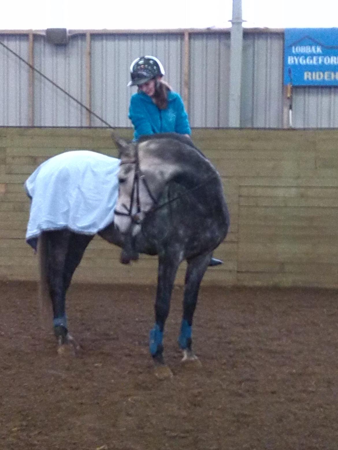 Anden særlig race soleo - min diamant <3 billede 12