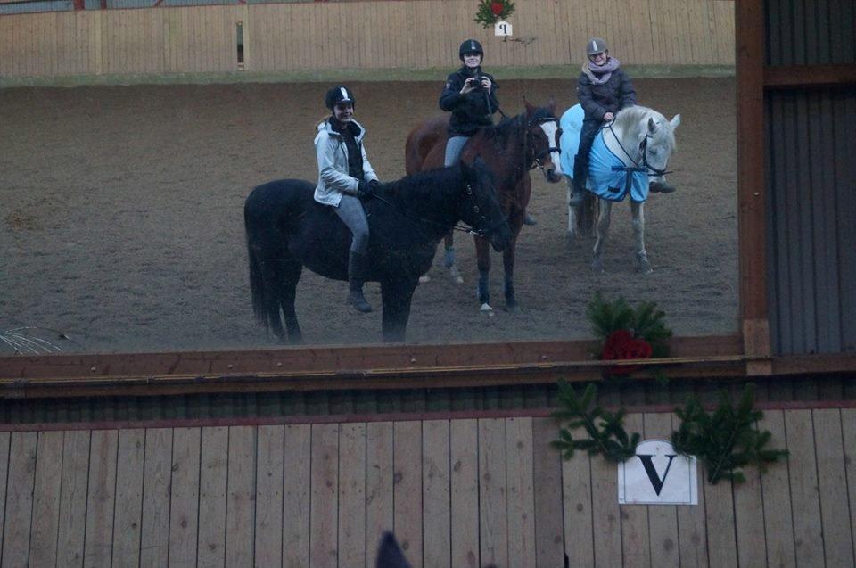 New Forest Loke - Mine bedste veninder og deres ponyer <3 

 billede 5