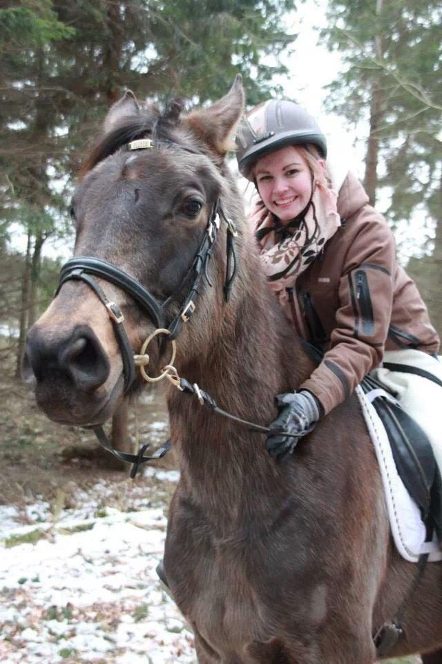 Palomino • Linnel's Angel - Foto: Alexandra Lopéz Malmberg 

D. 25.01.2014 billede 13