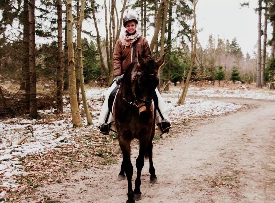 Palomino • Linnel's Angel - Foto: Alexandra Lopéz Malmberg 

D. 25.01.2014 billede 14