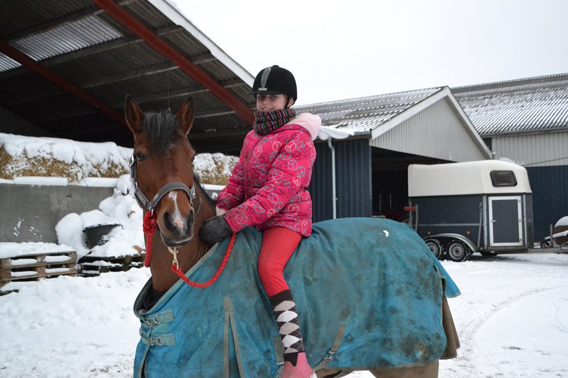 DSP Bæklunds Anizette - Sne Vinter 2014!<33
Love you Zettemus!<3333 billede 19