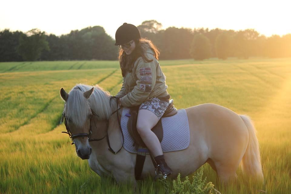 Anden særlig race Tøsen (-:. - skridttur sommer 2013 billede 5