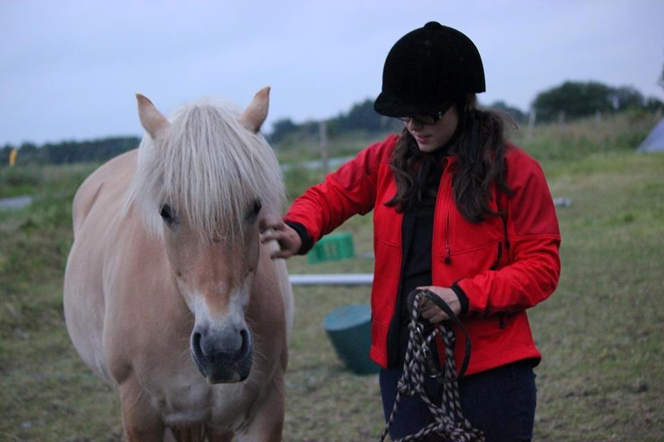 Anden særlig race Tøsen (-:. - Sommeren 2013, ridning i rebgrime. billede 9