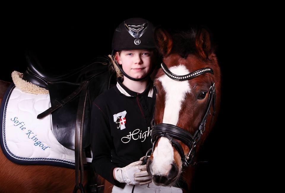 New Forest *Ladegaardens Prodian* billede 2