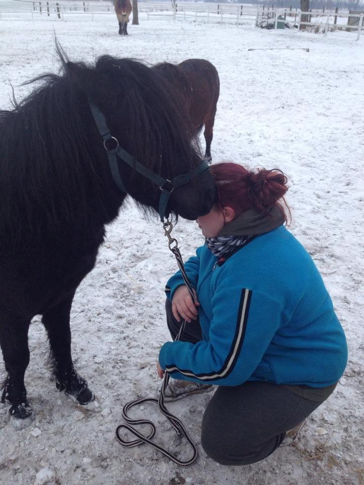 Anden særlig race Prins billede 9