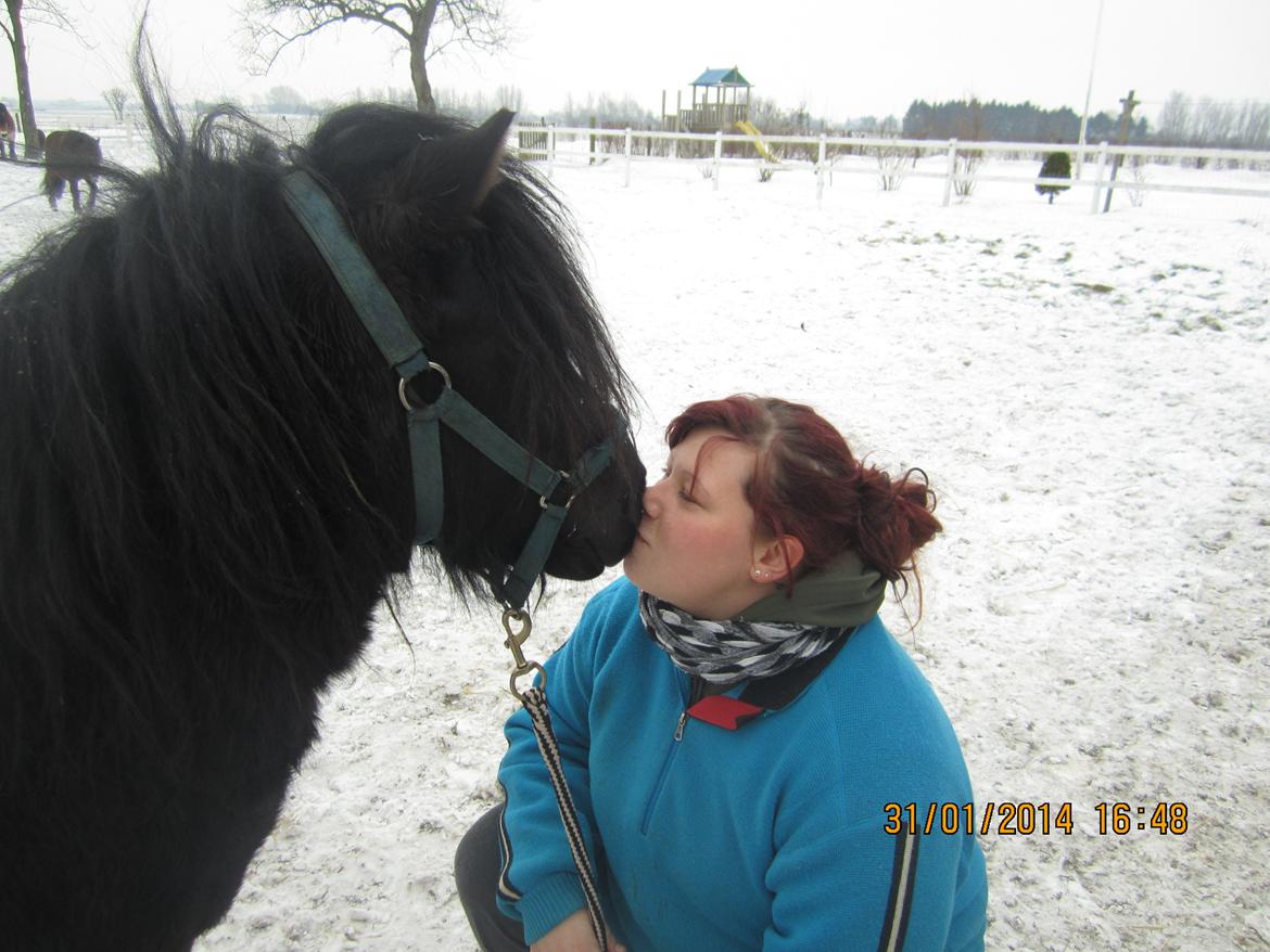 Anden særlig race Prins billede 14