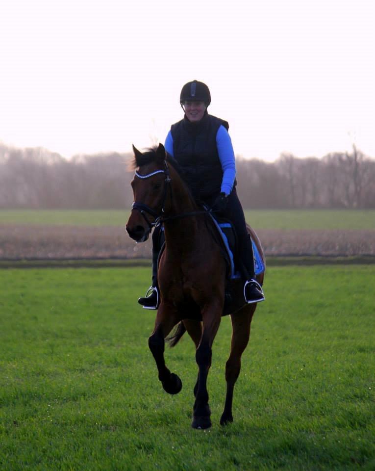 Holstener Flair - Flair elsker en frisk galloptur. billede 27