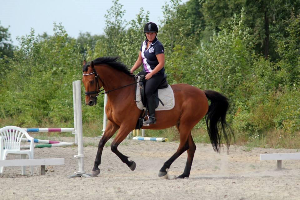 Holstener Flair billede 28