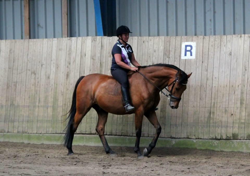 Holstener Flair billede 29