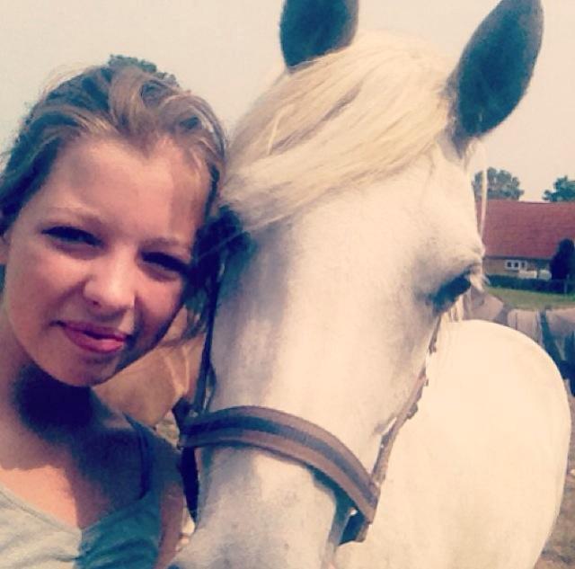 Welsh Partbred (Sec F) Klintholms Miss Shania - Sommer 2013, Shania er på besøg hos Linda. billede 14