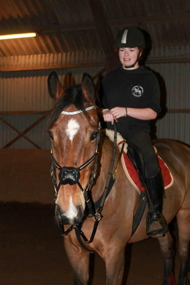 Anden særlig race Arcibald billede 17