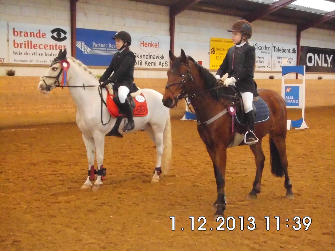 Anden særlig race Enghavegaards Lille Jensen - Jensens første 0 runde LE billede 13