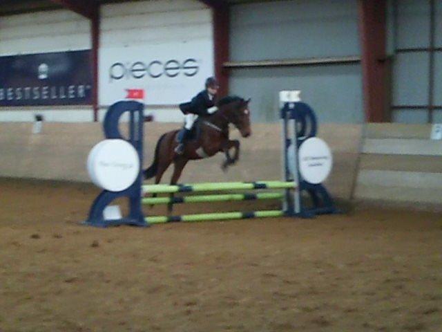 Anden særlig race Enghavegaards Lille Jensen - Jensens første stævne billede 14