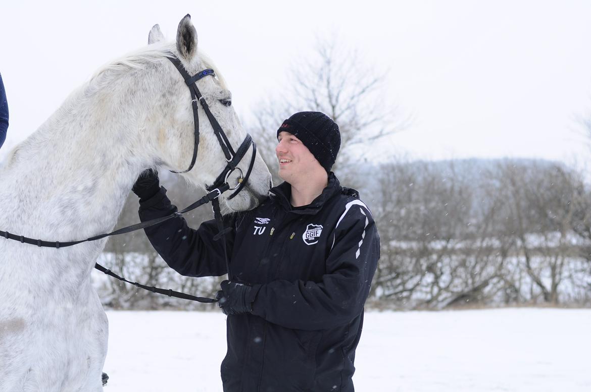 Dansk Varmblod Wajes Chalina billede 9
