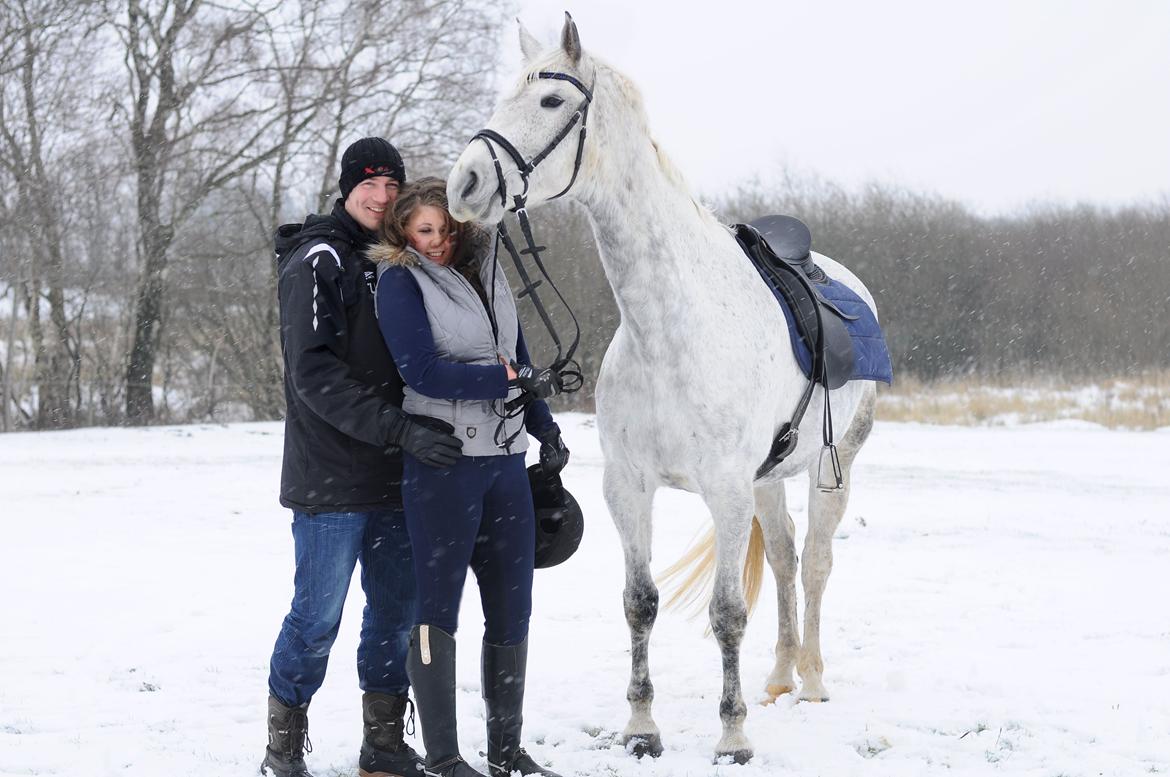 Dansk Varmblod Wajes Chalina billede 2