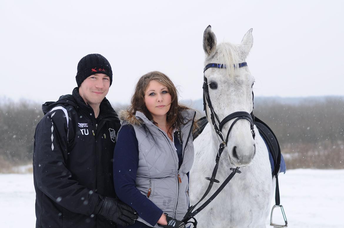 Dansk Varmblod Wajes Chalina billede 11