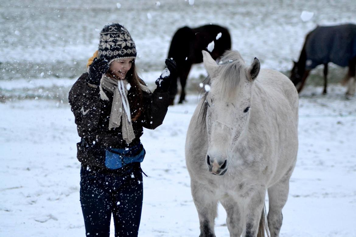 Anden særlig race Pasqual -My Unicorn- billede 2