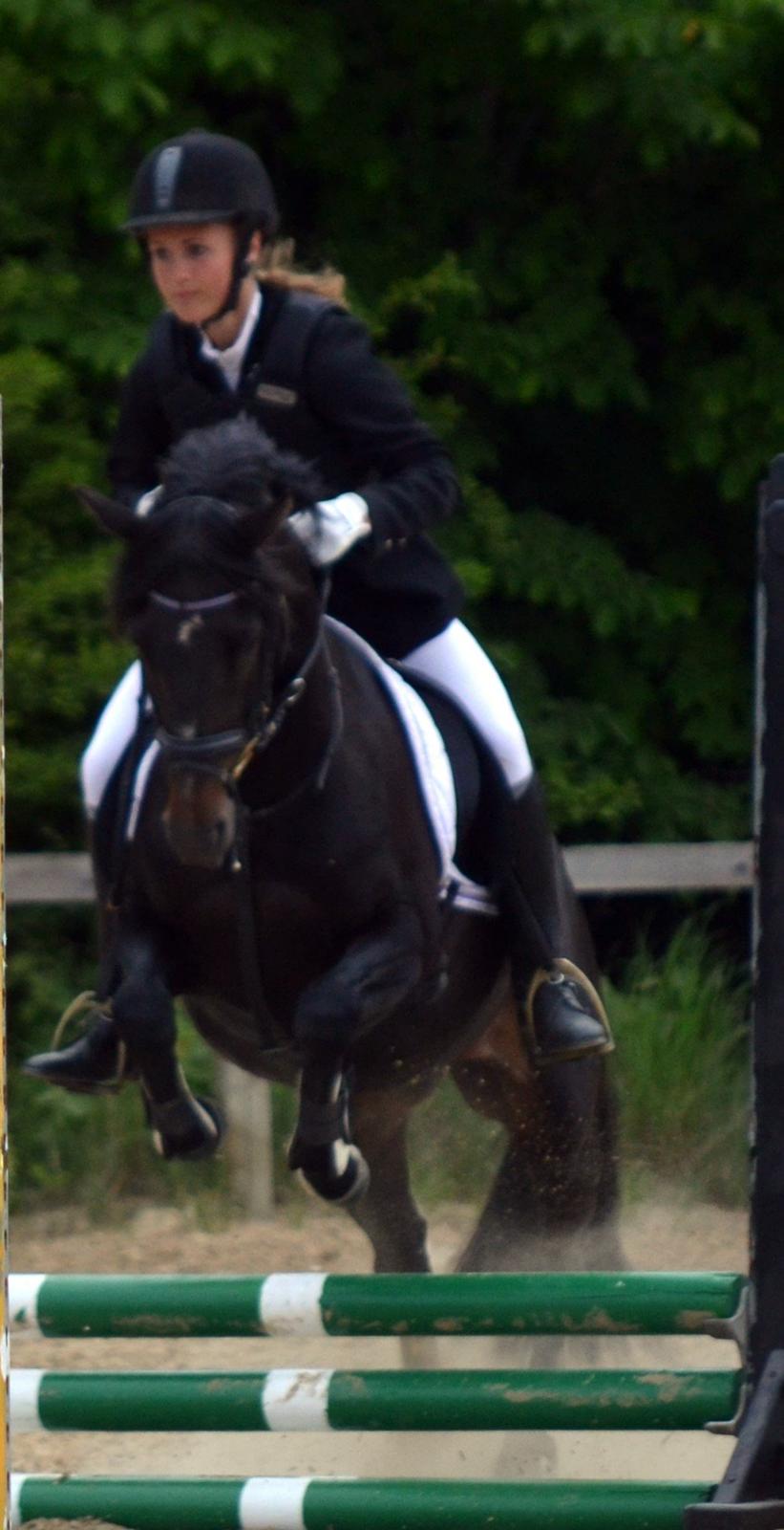 Tysk Sportspony Naranjo [Har redet] billede 14