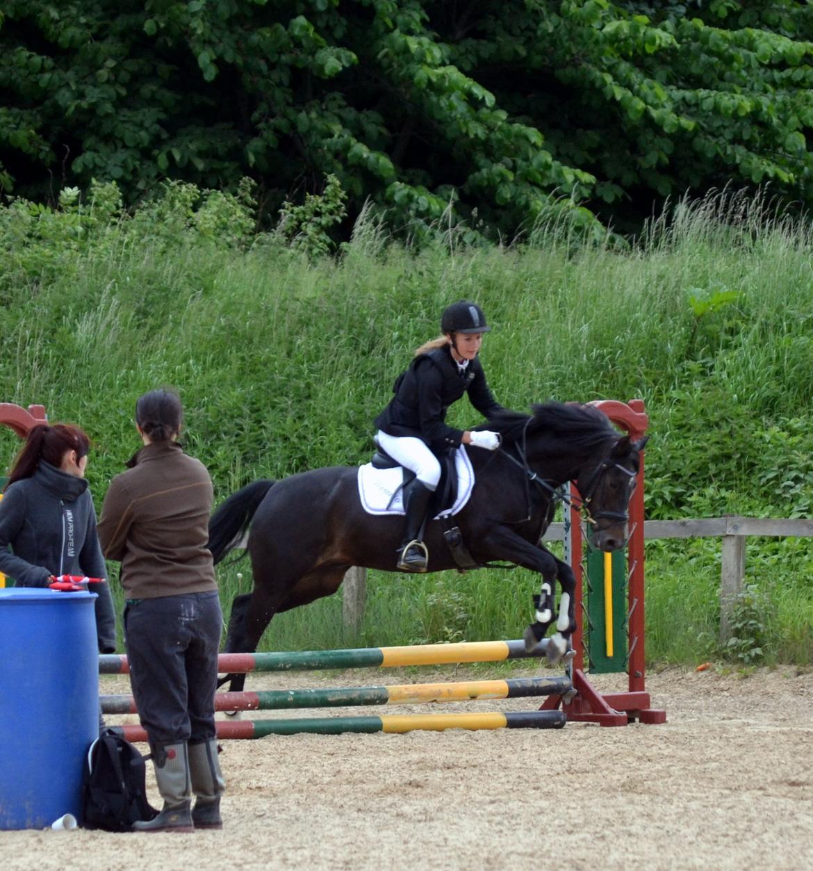 Tysk Sportspony Naranjo [Har redet] billede 15