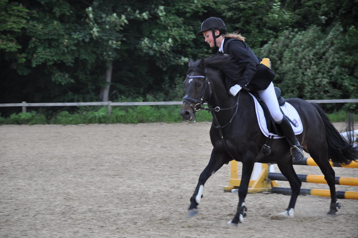 Tysk Sportspony Naranjo [Har redet] billede 16