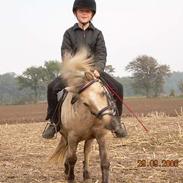 Anden særlig race Stella<3