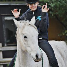 Anden særlig race Chiara