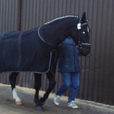 Oldenborg Congo højbogård