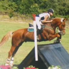 Anden særlig race Highlands Martinique