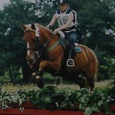 Anden særlig race Highlands Martinique