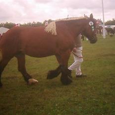 Belgier Sabrina *DØD*
