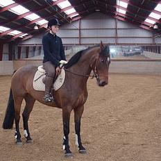 Holstener Lindegaardens Camilla 