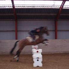 Holstener Lindegaardens Camilla 