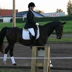 Anden særlig race Bella R.I.P. d. 27/10-09
