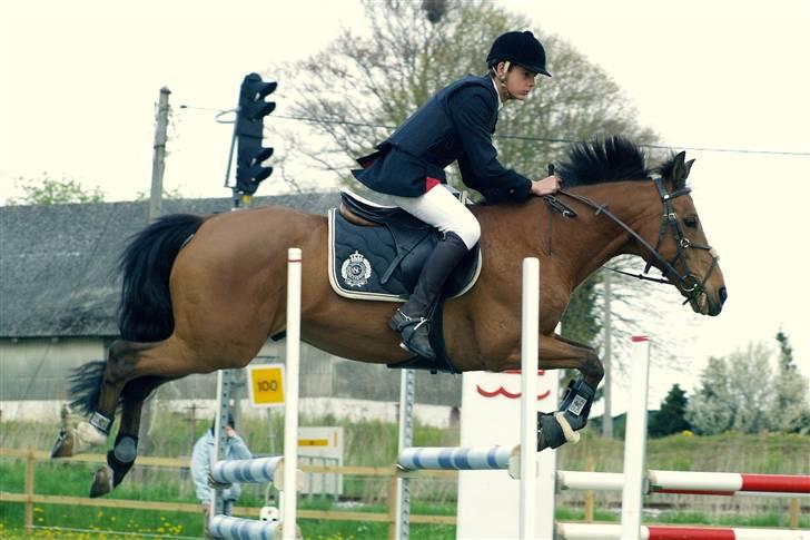 New Forest Urbie boy - stævne på midtfyns rideklub vandt begge klasser foto: mk-foto.gallerisider.dk billede 4