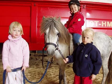 Shetlænder Kiwi fra Torsmark  *SOLGT - Kiwi og min datter Anne-Kathrine(hende til venstre), Nicoline som rytter og Karen Marie. billede 2