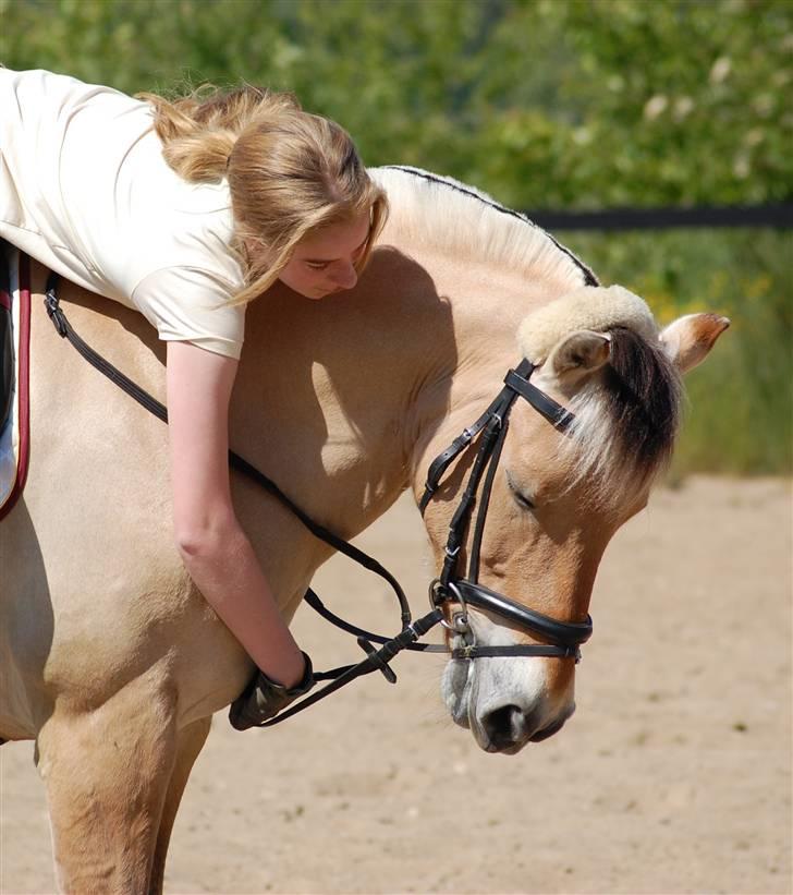 Fjordhest Miki - SOLGT - #4  nurh xD  Foto: Mathilde billede 4