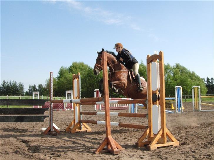 Hollandsk Sportspony Junior v. w.    SOLGT :'( - <-11-> smuk som en solnedgang <3<3 elsker ham <3<3 billede 11