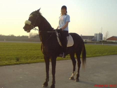 Traver Tass Fogedgård(SOLGT) - mig & tass udenfor vores hus :D billede 3